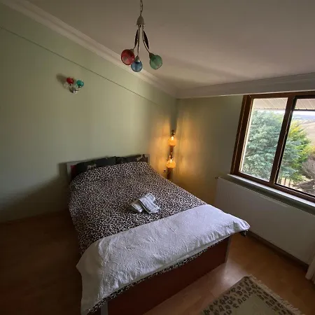 Havalimanina Yakin Orman Icinde Ferah Villa1 *