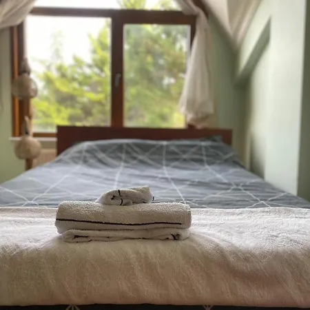 Homestay szállás Havalimanina Yakin Orman Icinde Ferah Villa1